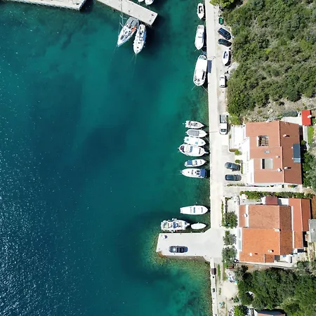 Double 8144c 3* Zaglav