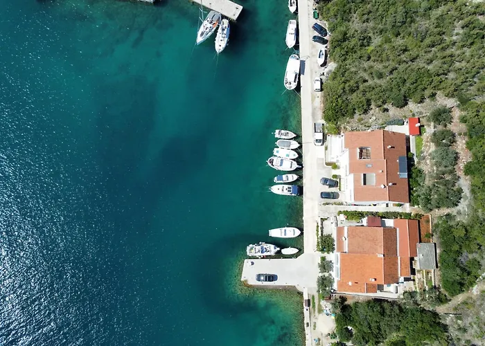 Double 8144c 3* Zaglav